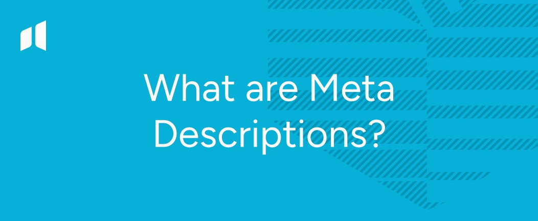 Meta description appear in Google search results showing title, URL and description snippet